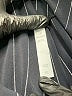 Glyder Stripes Burgundy Black Casual Pants Size XL - photo 7