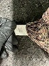 Cj Banks Tweed Burgundy Pullover Sweater Size 1X - photo 8