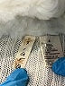 Tiara Ivory Vest Size S - photo 6