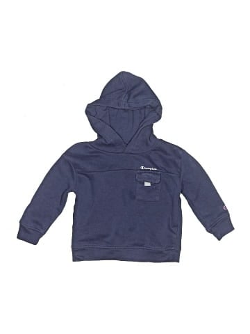 Champion Zip Up Hoodie (view 1)