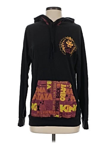 Disney Parks Pullover Hoodie (view 1)