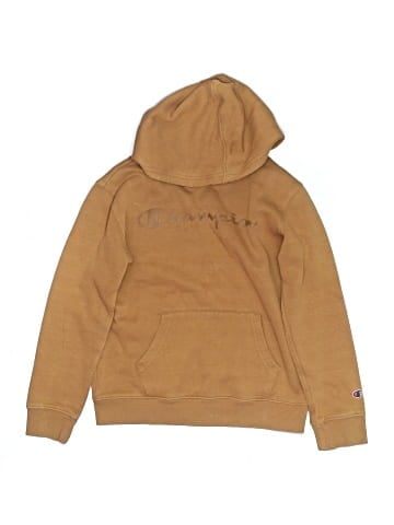 Champion Pullover Hoodie (view 1)