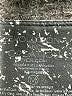 Evolution and Creation Graphic Silver Leggings Size M - photo 7