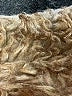 Unbranded Gray Snow Jacket Size M - photo 6