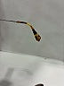 Miu Miu Silver Gold  SMU03S Sunglasses One size - photo 3