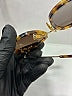 Miu Miu Silver Gold  SMU03S Sunglasses One size - photo 7