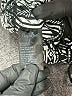 Papaya Black Silver Sleeveless Top Size L - photo 8