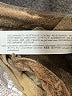 Zara Basic Tan Casual Skirt Size XS - photo 5
