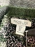 Rachel Zoe 100% Polyester Camo Green Cardigan Size S - photo 7