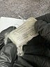 Louis Féraud Black Jacket Size 14 - photo 7