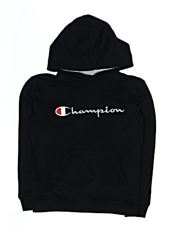 Champion Pullover Hoodie (view 1)