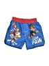 Nickelodeon 100% Polyester Graphic Blue Board Shorts 9-12 MO / 12 MO - photo 1