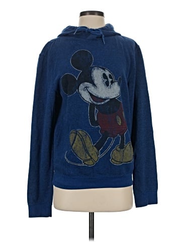 Disney Parks Pullover Hoodie (view 1)