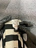 Naif Stripes Ivory Short Sleeve T-Shirt Size 1X - photo 7