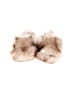 Carter's Tan Booties Size 0-3 mo (baby) - photo 2