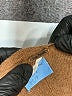 Free People 100% Cashmere Brown Cashmere Pullover Sweater Size 6 - photo 7