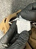 Elliott Lauren Solid Brown Casual Pants Size 12 - photo 8