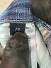 Citizens of Humanity Blue Jeans Size 28 waist - photo 5