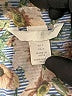 H&M Floral Blue Sleeveless Button-Down Shirt Size 2 - photo 7