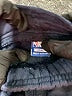 NBA Blue Sweatpants 9-12 MO / 12 MO - photo 3
