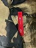 I.C. By Connie K 100% Polyester Camo Gold Coat Size XL - photo 6