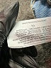 Gloria Vanderbilt Blue Jeans Size 10 - photo 8