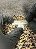On 34th 100% Recycled Polyester Animal Print Gold Sleeveless Blouse Size 2X - photo 7