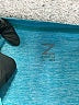 Z by Zella Teal Long Sleeve Top Size XL - photo 7
