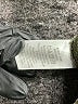 Everlane Green Jeans Size 10 - photo 8
