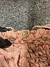 FP One Pink Sleeveless Top Size XS - photo 7