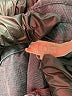 Ann Taylor LOFT 100% Lyocell Solid Gray Shorts Size XXL - photo 3