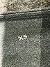 Tek Gear Gray Active Pants Size XS - photo 8