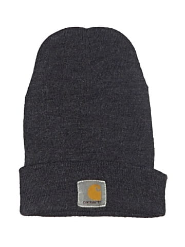 Carhartt Beanie (view 1)