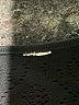 Fabletics Black Long Sleeve T-Shirt Size S (estimated) - photo 7