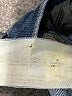 Ella Moss Blue Jeans Size 14 - photo 9