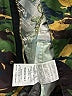 OFF-WHITE Camo Green Jacket Size M - photo 7