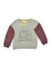 Harry Potter Gray Sweatshirt 12-18 MO / 18 MO - photo 1