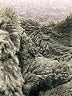 The North Face Camo Green Snow Jacket Size 14-16 - photo 4