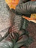J.Crew Collection Tweed Orange Blazer Size 8 - photo 7