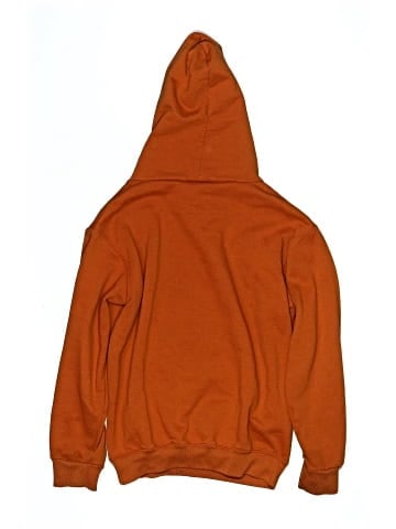 Champion Pullover Hoodie (view 2)