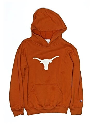 Champion Pullover Hoodie (view 1)