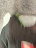 Puma 100% Polyester Green Black Track Pants Size 3T - photo 3