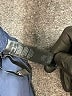 Koral Blue Active Pants Size M - photo 8