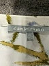 Daniel Rainn 100% Polyester Floral Ivory 3/4 Sleeve Blouse Size XXL - photo 7