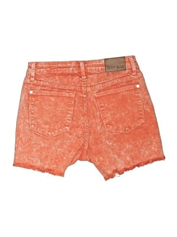 Judy Blue Denim Shorts (view 2)