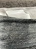 90 Degree by Reflex Gray Active Pants Size XS - photo 7