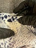 Soft Joie Animal Print Blue Long Sleeve Blouse Size S - photo 7