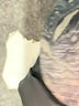 Elizabeth and James Print Gray Blazer Size 6 - photo 7