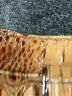 Brahmin Brown Shoulder Bag One size - photo 4