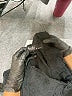 Bobi 100% Cotton Stars Black Shorts Size M - photo 3